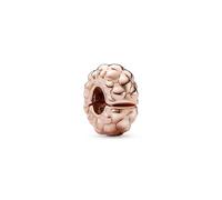 Pandora Charm Moments 782716C00