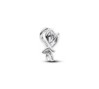 Pandora Charm - 794488C00 silber