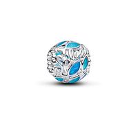 Pandora Charm Moments 794699C01
