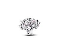 Pandora Charm Moments 794486C01