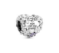 Pandora Charm Moments 791155C01