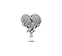 Pandora Charm Moments 792980C01