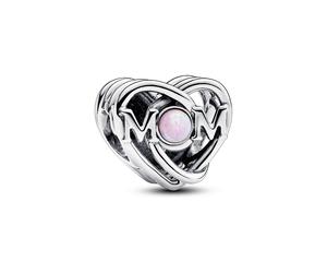 Pandora Charm Moments 793233C01