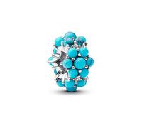 Pandora Charm Moments 793897C02