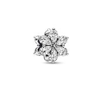 Pandora Charm Timeless 792623C01