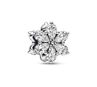 Pandora Charm Timeless 792623C01