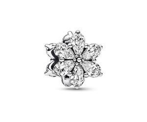 Pandora Charm Timeless 792623C01