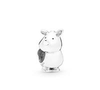 Pandora -Charm Träger 925_Sterling_Silber 798023