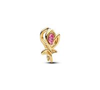 Pandora Charm Moments 764555C01