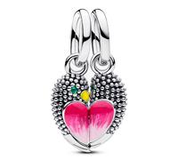 Pandora Charm - 794484C01 silber