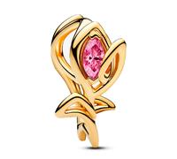 Pandora Charm Moments 764555C01