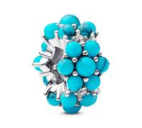 Pandora Charms Ozean-Charme 793897C02