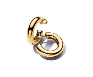 Pandora Creolen Essence 263266C00