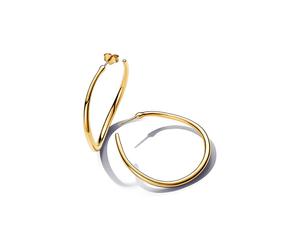 Pandora Creolen Essence 263299C00