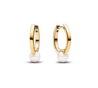 Pandora Creolen Pandora Timeless 263170C01