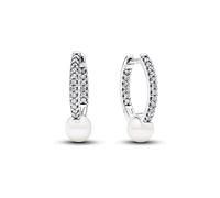 Pandora Creolen Pandora Timeless 293171C01