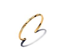 Pandora Armreif - 563869C00 gold