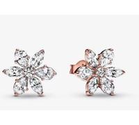 Pandora Funkelnde Herbarium Cluster Ohrringe 925 Sterling-Silber voll gestempelt