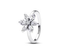 Pandora Damenring Timeless 193000C02-56