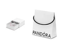 PANDORA Ökologische Verpackung Set (Tasche und Armbandbox) (2)