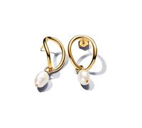 Pandora Ohrhänger Essence 263281C01