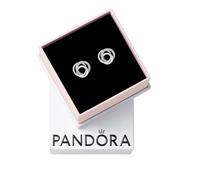 Pandora Damen-Ohrstecker 291076C01 – Immer von Familie umgeben – Silber