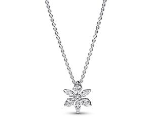 Pandora Timeless - Silbern Halskette Für Damen one_size Silber