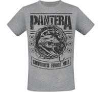 Pantera CFH Stencil Snake Männer T-Shirt grau meliert S 90% Baumwolle, 10% Polyester Band-Merch, Bands