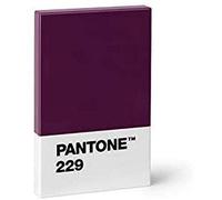 Pantone Design-Kartenetui Kredit- und Visitenkartenhalter, Aubergine 229, bordeaux
