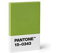 Pantone Design-Kartenetui Kredit- und Visitenkartenhalter, Green 15-0343 (Color of the Year 2017), grün