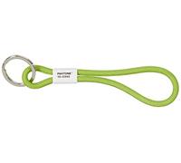 Pantone Schlüsselband Green 15-0343, kurz