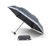 Pantone Taschenschirm / Regenschirm mit Reise-Etui - cool gray 9 - Ø 90 cm, Etui: 22 x 6,5 cm