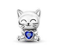 Parmuz 925 Sterling Silber Charms für Armband Frau Liebe Herz Böses Auge Gänseblümchen Blume Anhänger Perlen für Halskette Hund Katze Charme Schmuck Geschenk für Sie