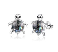 PARYFO Schildkröte Ohrringe 925 Sterling Silber Schildkröten Ohrstecker für Mädchen Abalone Ohrstecker Niedliche Tier Schildkröte Schmuck für Frauen Mädchen Kinder, Sterling Silber