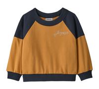 Patagonia - Baby's Crew Sweatshirt - Pullover, Gr. 104-110 4 Years, orange (WiggleFitz:DriedMango)