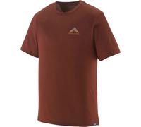Patagonia Cap Cool Merino Blend Graphic Shirt T-Shirt, S, driftways: dried vanilla