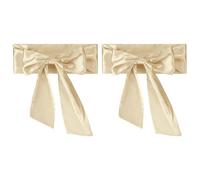PATIKIL Satin Sash Gürtel, 2 Stück Hochzeit Party Braut Leer Satin Taillengürtel Prom Zubehör für Abschluss Geburtstag Dekoration DIY Zubehör Homecoming, Champagner
