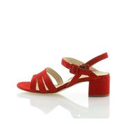 Paul Green 022 rot 3,5