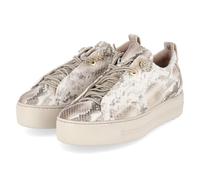 Sneaker PAUL GREEN "Paul Green Sneaker Leder", Damen, Gr. 39, beige, Leder, Schuhe Sneaker (34766023-39) beige