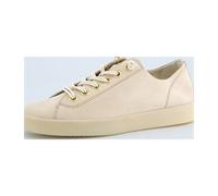 Schnürschuh PAUL GREEN "Paul Green Halbschuhe Nubuk/Velours", Damen, Gr. 41, beige, Leder, Schuhe Schnürschuh (83962136-41) beige