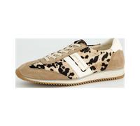 Paul Green Damen - Sneaker 5453-169 in beige Rauleder