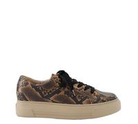 Paul Green 5469 für Damen, animal, Größe 39 EU / 6 UK