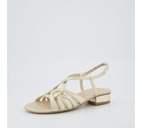 Paul Green Damenschuhe Sling Gold Metallic Gold Metallic - Gr. - 5 UK