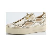 Paul Green Damen Slipper 5317-079 5317 antic biscuit normal 38½ EU