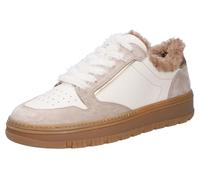 Paul Green Schnürschuhe 5369-026, Glattleder, Beige, Damen EU 3,5/36