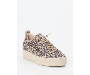Paul Green Sneaker in beige in Größe: 40 für Damen