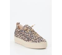 Paul Green Sneaker in beige in Größe: 42.5 für Damen