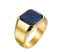 PAURO Herren Edelstein Siegelring mit Blau Stein Gold Größe 54 (17.2)