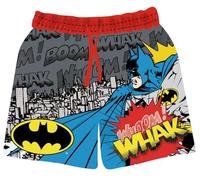 Paw Patrol/Batman Jungen Badehose Badeshorts Schwimmhose mit Elastischer Bund und EIN Netzfutter, Fast trocken Badeboxer Kinder (DE/NL/SE/PL, Alter, 8 Jahre, Regular, Grau)