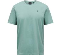 Peak Performance Explore Graphic Tee Men Green Valley Größe L